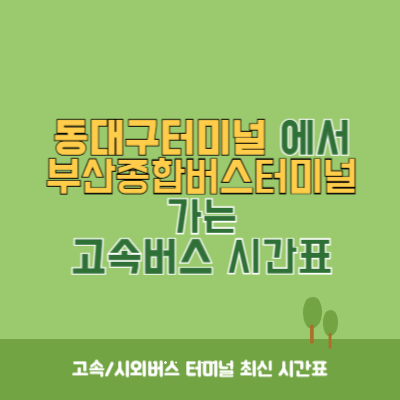동대구터미널에서 부산종합버스터미널 가는 고속버스 시간표 최신정보
