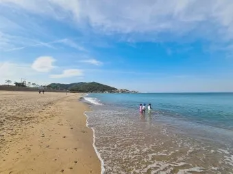 해수욕장 수온 파도 높이 바람 방향 안전한 입수 요령_13
