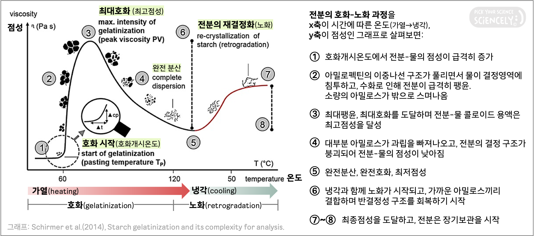 전분 호화 노화 요약. 가열 냉각 보관 에이징. 호화개시온도 호화시작. 수화 팽윤. 최대호화 최고점성. 아밀로펙틴 아밀로스 결정 구조 붕괴 분산. 콜로이드 용액 형성. 최저점성. 재결정 노화. 최종점성 장기보관