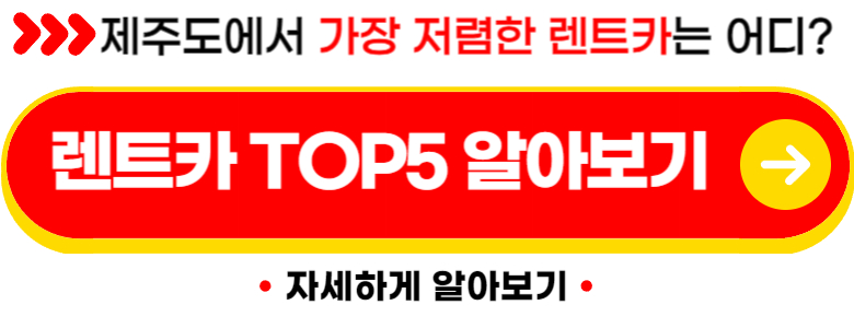 제주도 렌터카 비용 가격 할인 비교