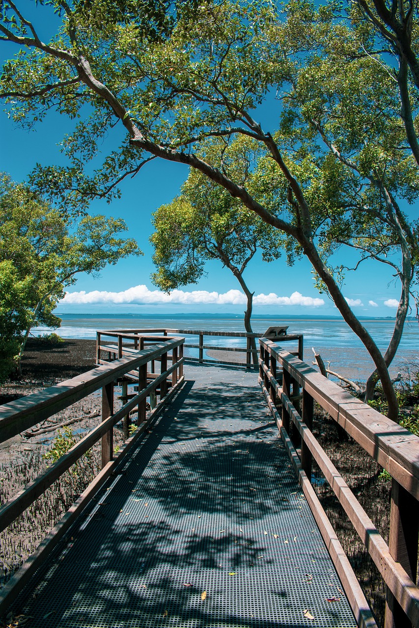 삼척 덕봉산 해안산책로 완벽 안내 (위치, 산책코스, 전망 포인트, 계절별 매력, 맛집)