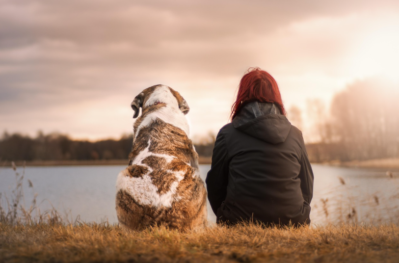 어른이 되고 나서 친구가 줄어드는 진짜 이유 (사회성 때문 아님)