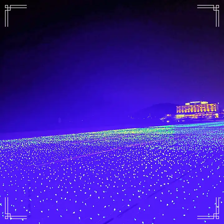 생생정보 해운대 빛 축제 깡깡이예술마을 부평깡통시장 부산 여행 가볼만한 곳 추천