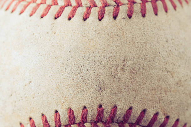 비트버니 퀴즈 정답 4월15일 사용법