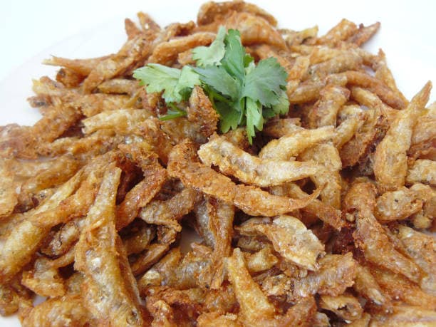 곤충 단백질의 저혈당 지수와 당뇨 관리