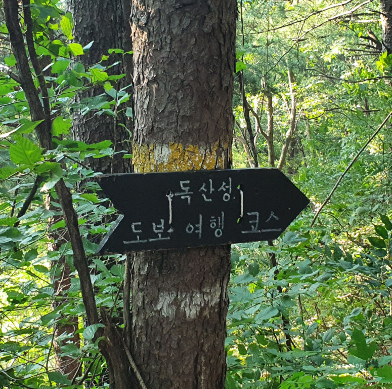 독산성 코스