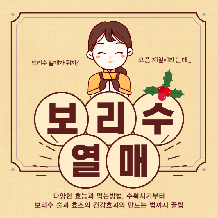 보리수 열매 효능 먹는법 수확시기 총정리(+보리수 열매 술 효소 효능 및 만드는 법)