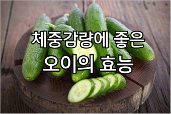 체중감량
