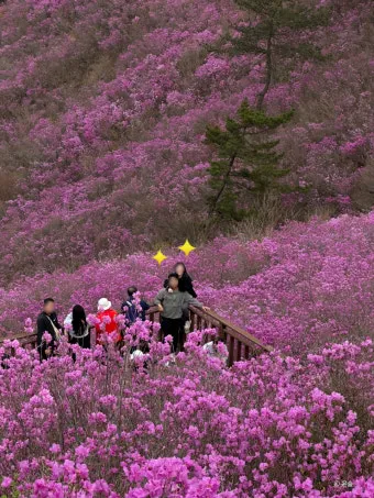 천주산 진달래축제 등산코스 맛집_25