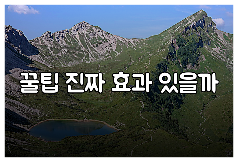 꿀팁 진짜 효과 있을까