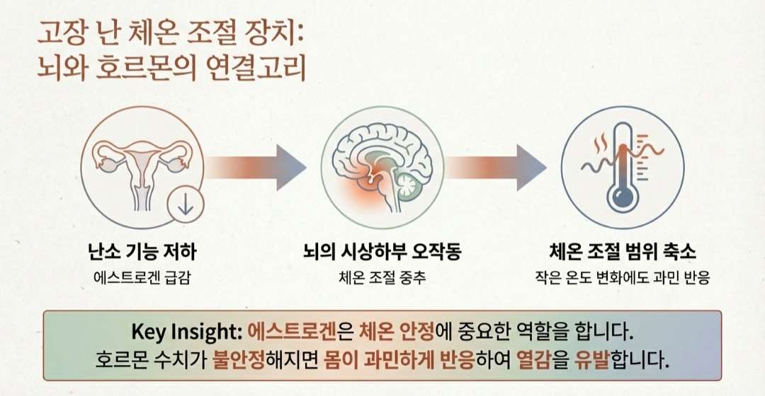 갱년기열-사진5