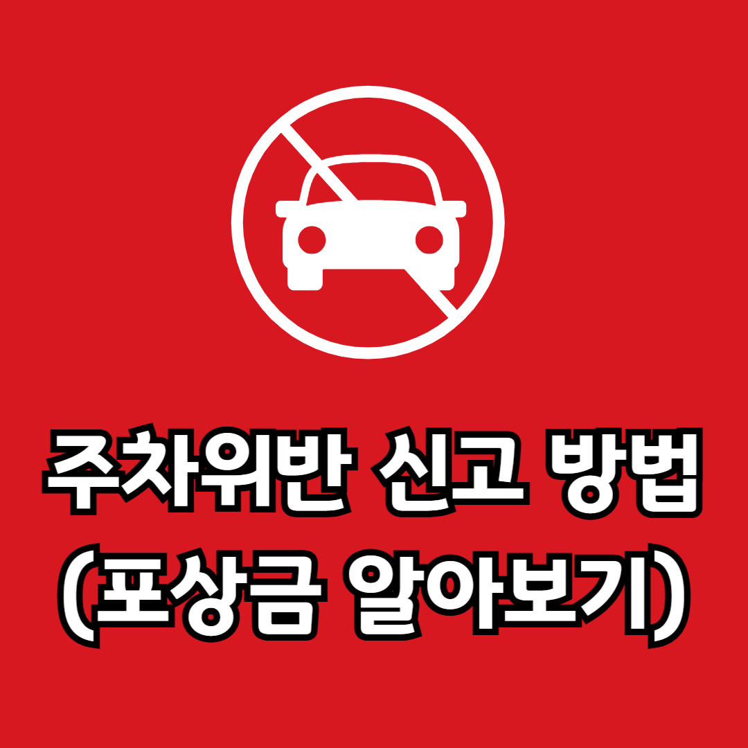 주차위반 신고 방법 및 포상금 알아보기