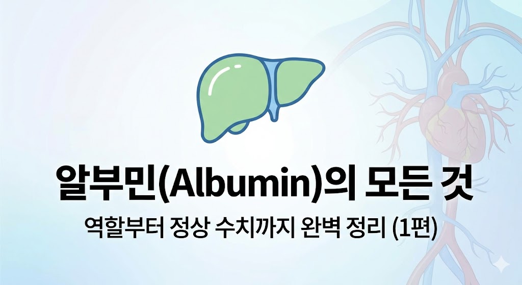 "알부민의 정의, 역할, 정상 수치를 완벽 정리한 1편 정보성 블로그 섬네일 이미지"