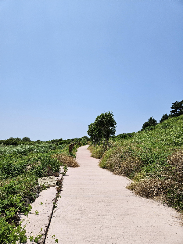 비양도를 걷다 1 - 길어 너무 멋있다.