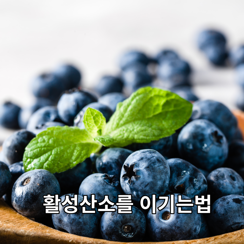 블루베리는 활성산소를 이기는데 좋은 식품이다.