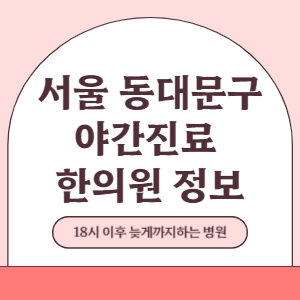 서울 동대문구 야간진료 한의원 병원 (18시 이후 늦게까지하는 병원)