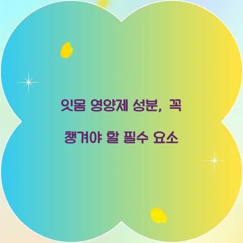 잇몸 영양제 성분