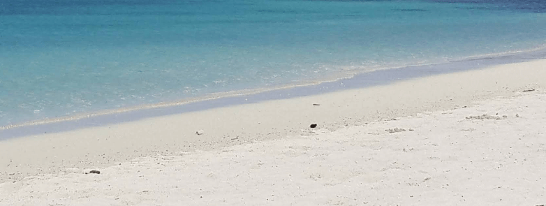 모리셔스 신혼여행 가이드 블루베이