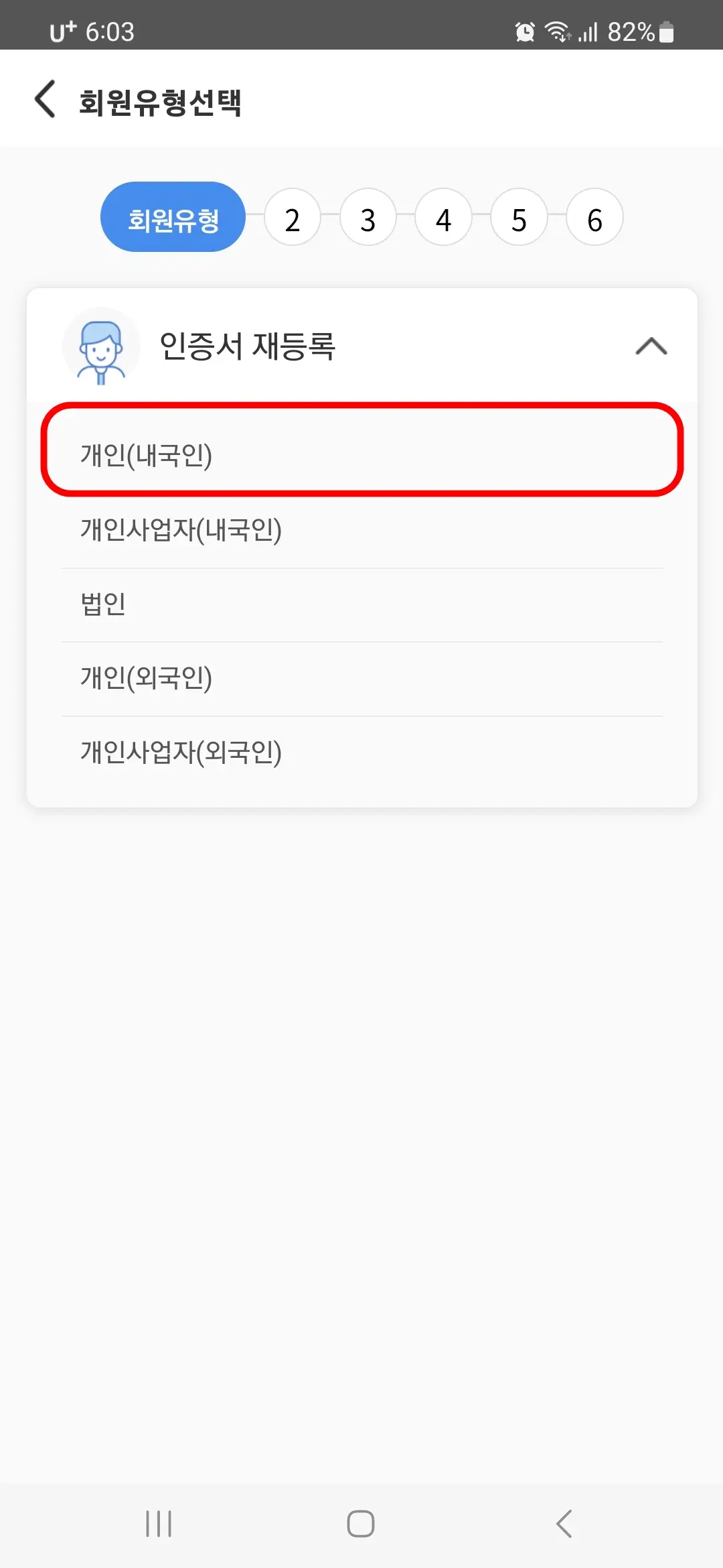개인 내국인
