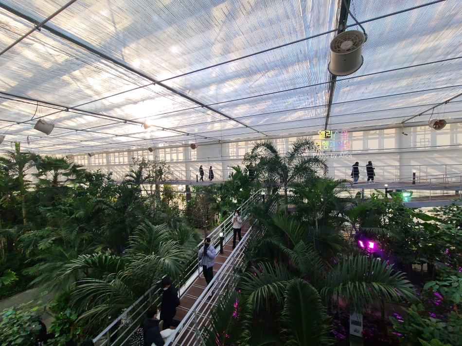 경주 동궁원 식물원 스카이워크 경주 가볼만한곳