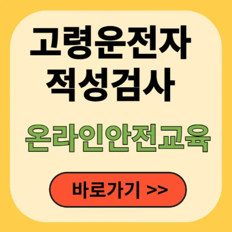 고령운전자 적성검사-온라인안전교육