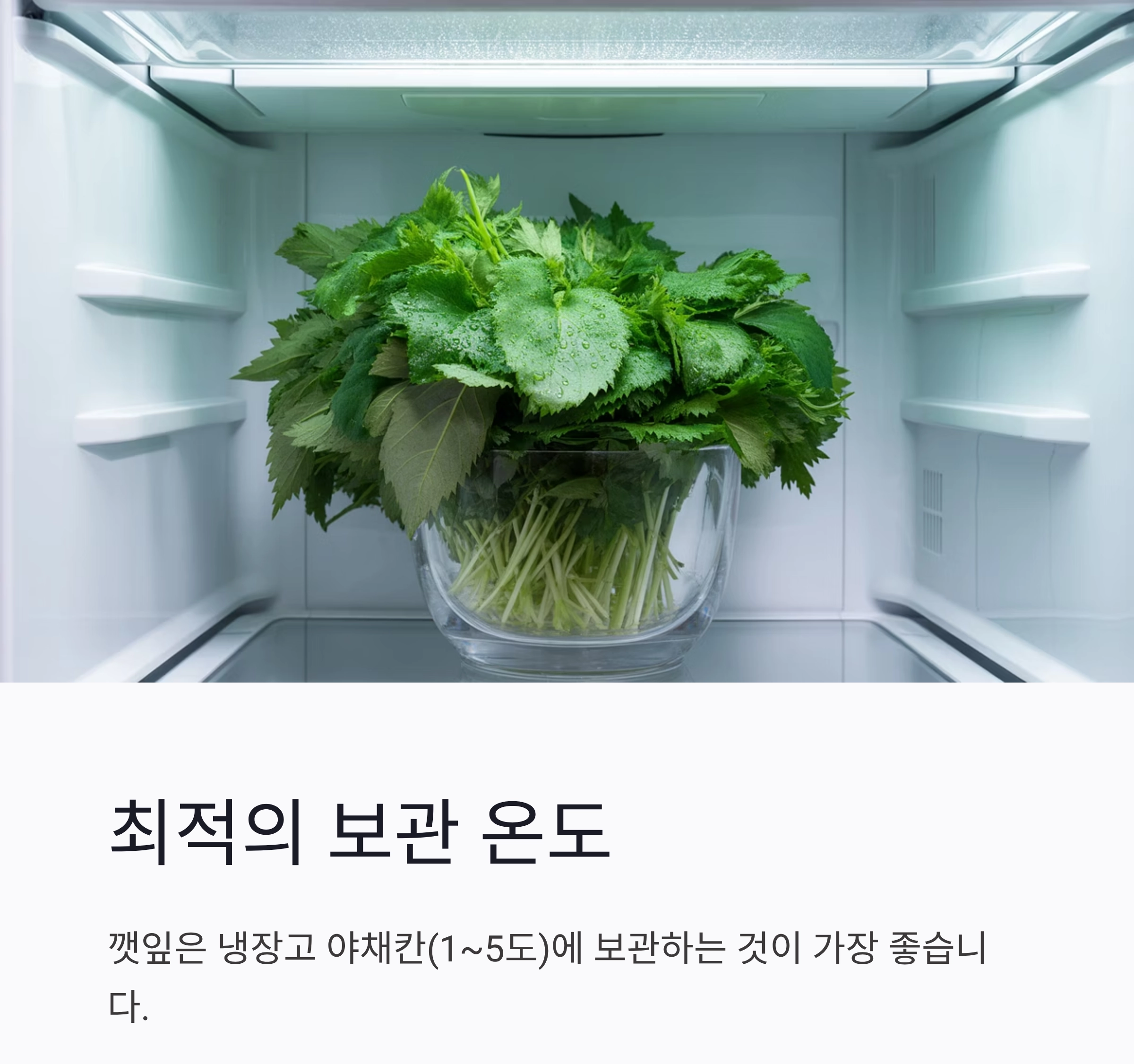깻잎을 더 오래 신선하게! 수분 조절 보관법 꿀팁