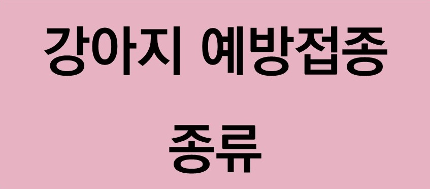 강아지예방접종 종류