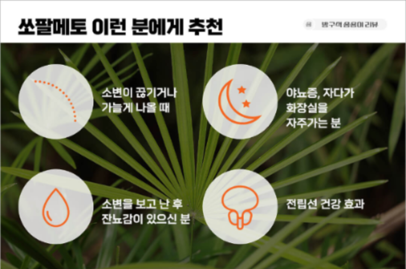 쏘팔메토 추천