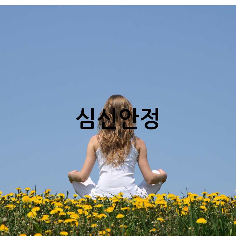 레몬버베나 다이어트