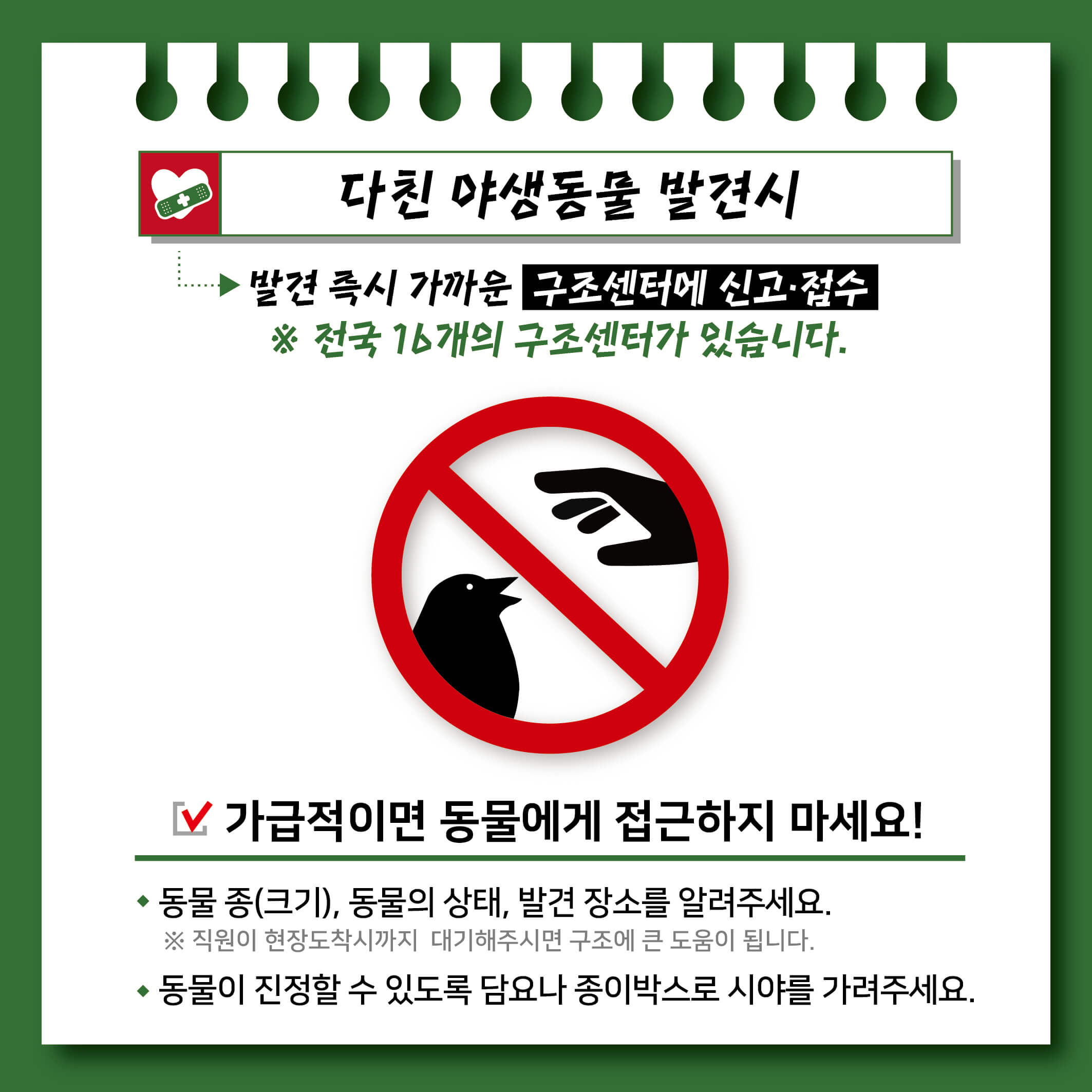 가을 단풍 여행지 추천 장소 _ 두륜산, 무등산, 내장산, 계룡산, 북한산