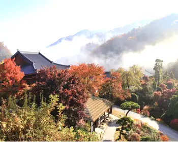 아침고요수목원 단풍시기