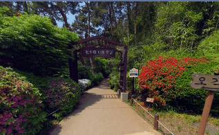 청남대 봄꽃축제 영춘제