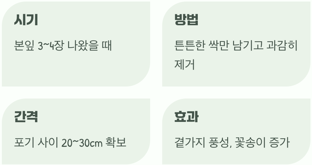 솎아주기, 미움이 아닌 사랑