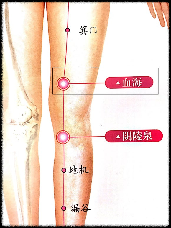 혈해 혈자리 위치
