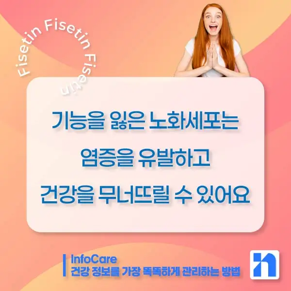 피세틴 효능 항산화 저속노화 노화방지 세놀리틱