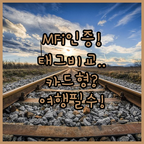 애플 MFi 인증 아이태그와 카드형 ..