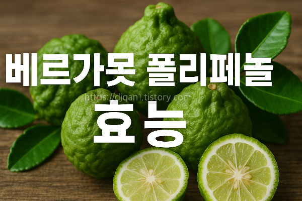 베르가못 폴리페놀 효능