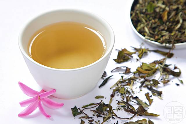 다이어트에 좋은 차 백차 살빼는차 다이어트차 추천