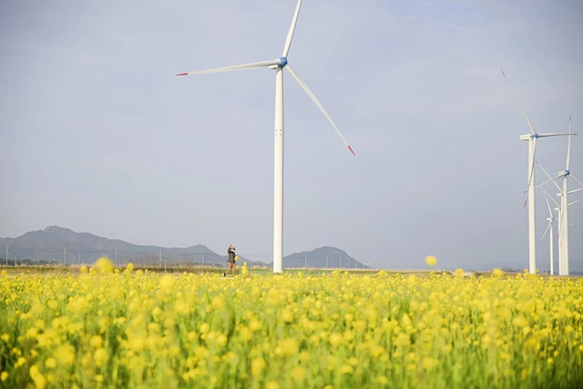 전남영광풍력단지