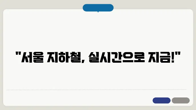 서울교통공사 대중교통 모니터링