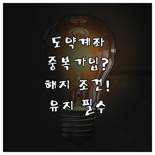 청년도약계좌 중복 가입 및 중도 해지..