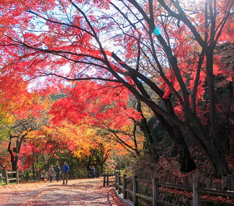 가을 단풍 명소 여행 추천