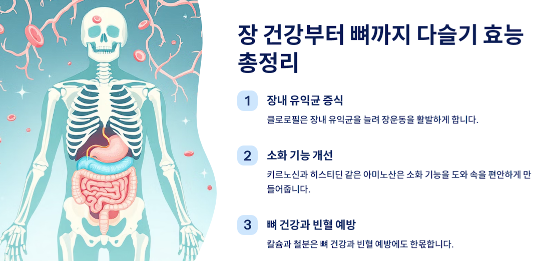 장 건강부터 뼈까지 다슬기 효능 총정리