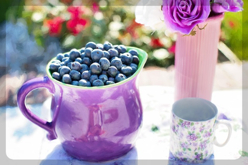 박용우 스위치온 다이어트 4주다이어트 (총정리)