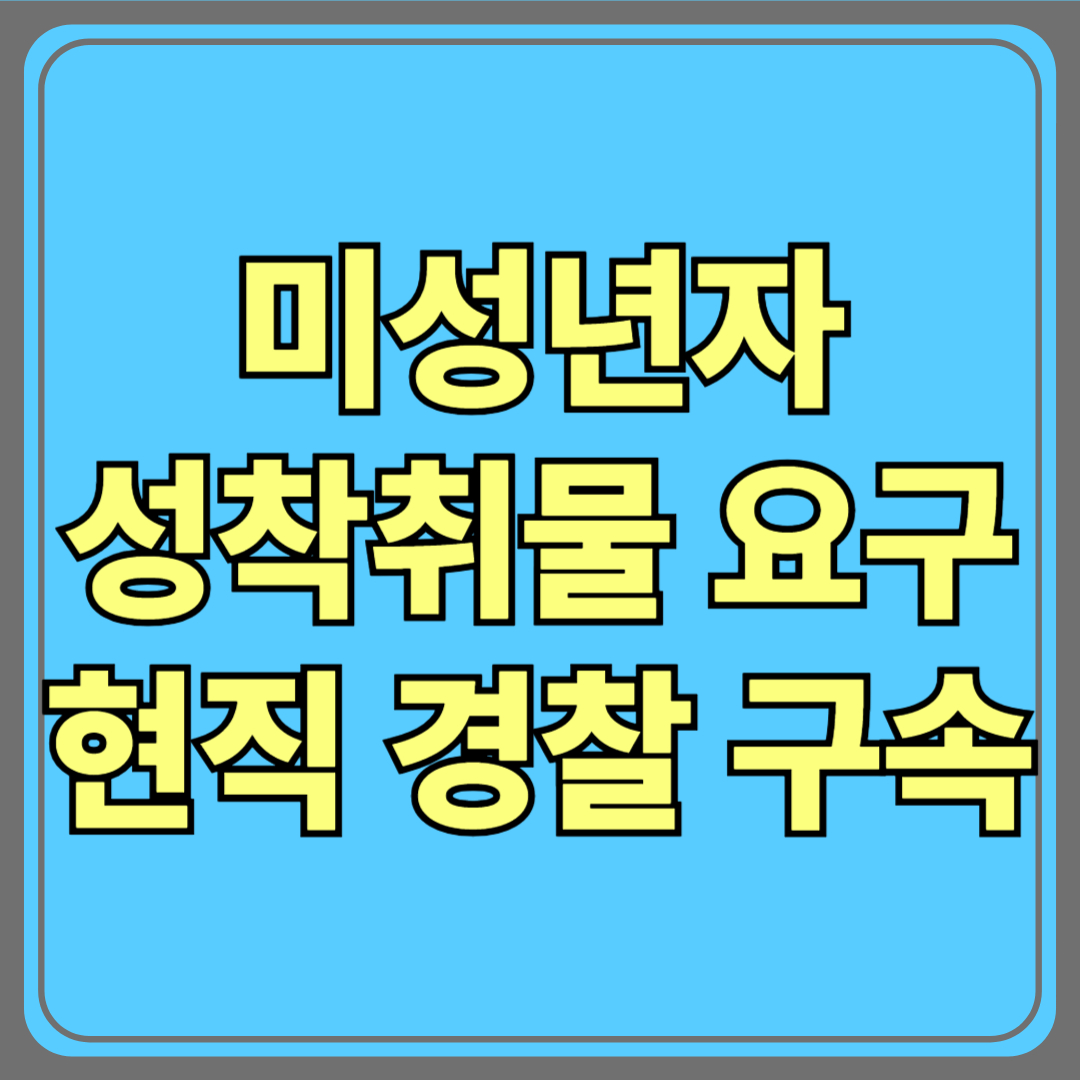 미성년자 성착취물 요구한 현직 경찰 구속