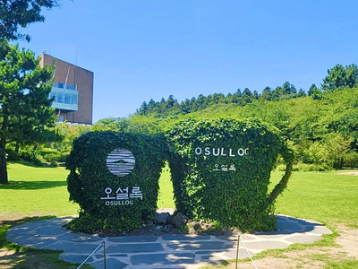 제주도 아이와 함께 가볼만한곳: 오설록 티뮤지엄