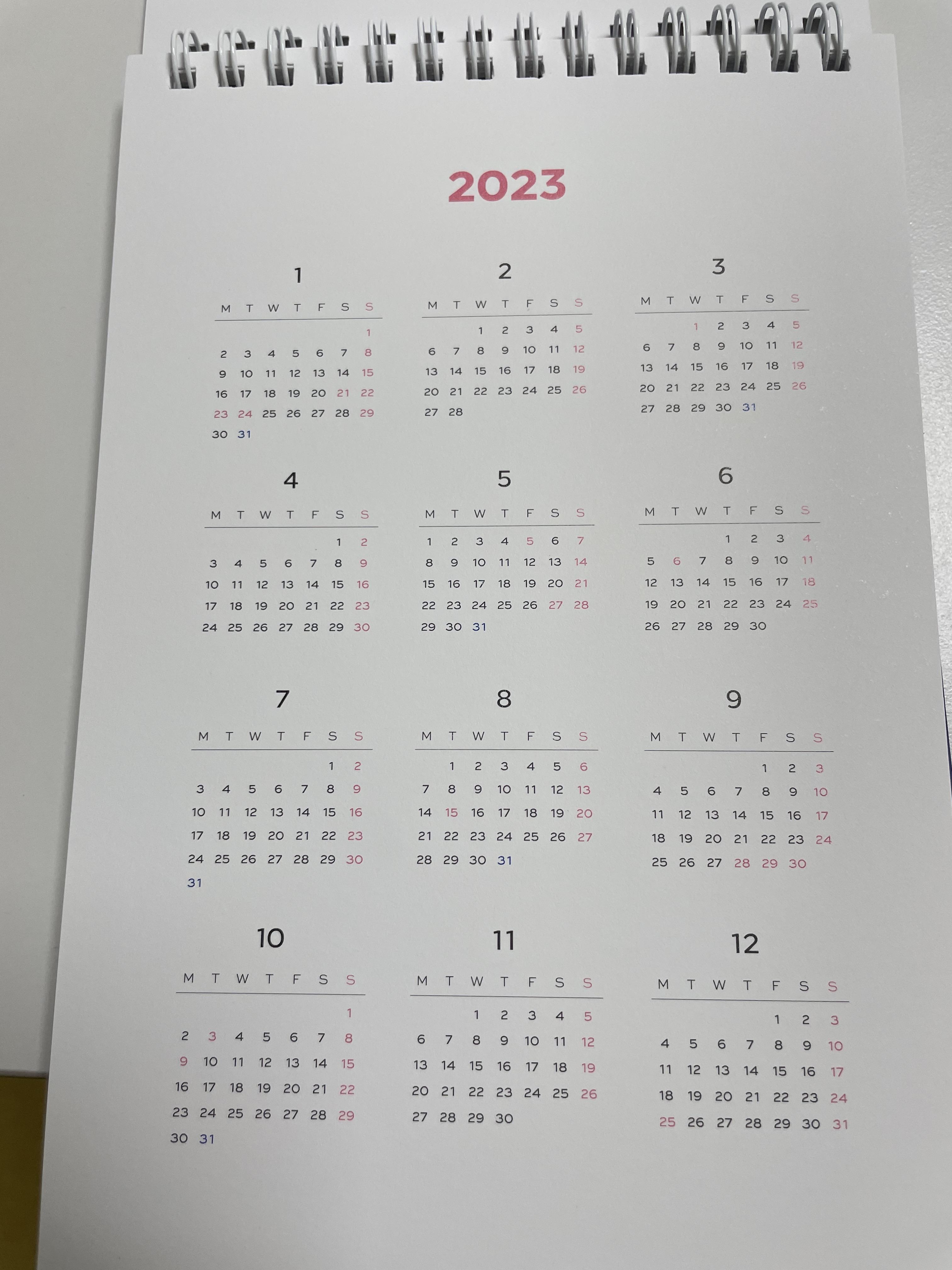 배라로이텀다이어리