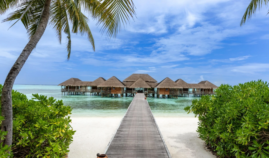 Gili Lankanfushi, 몰디브 : 소개 / 객실 / 어메니티 / 관광 / 부대시설