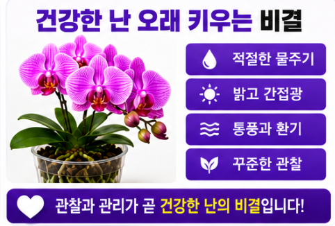 난 오래 키우는 방법