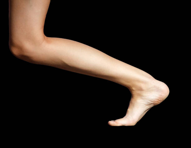 다리에 쥐나는 이유